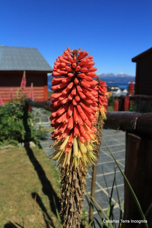 Terra Incognita Villa Ushuaia Buitenkant foto