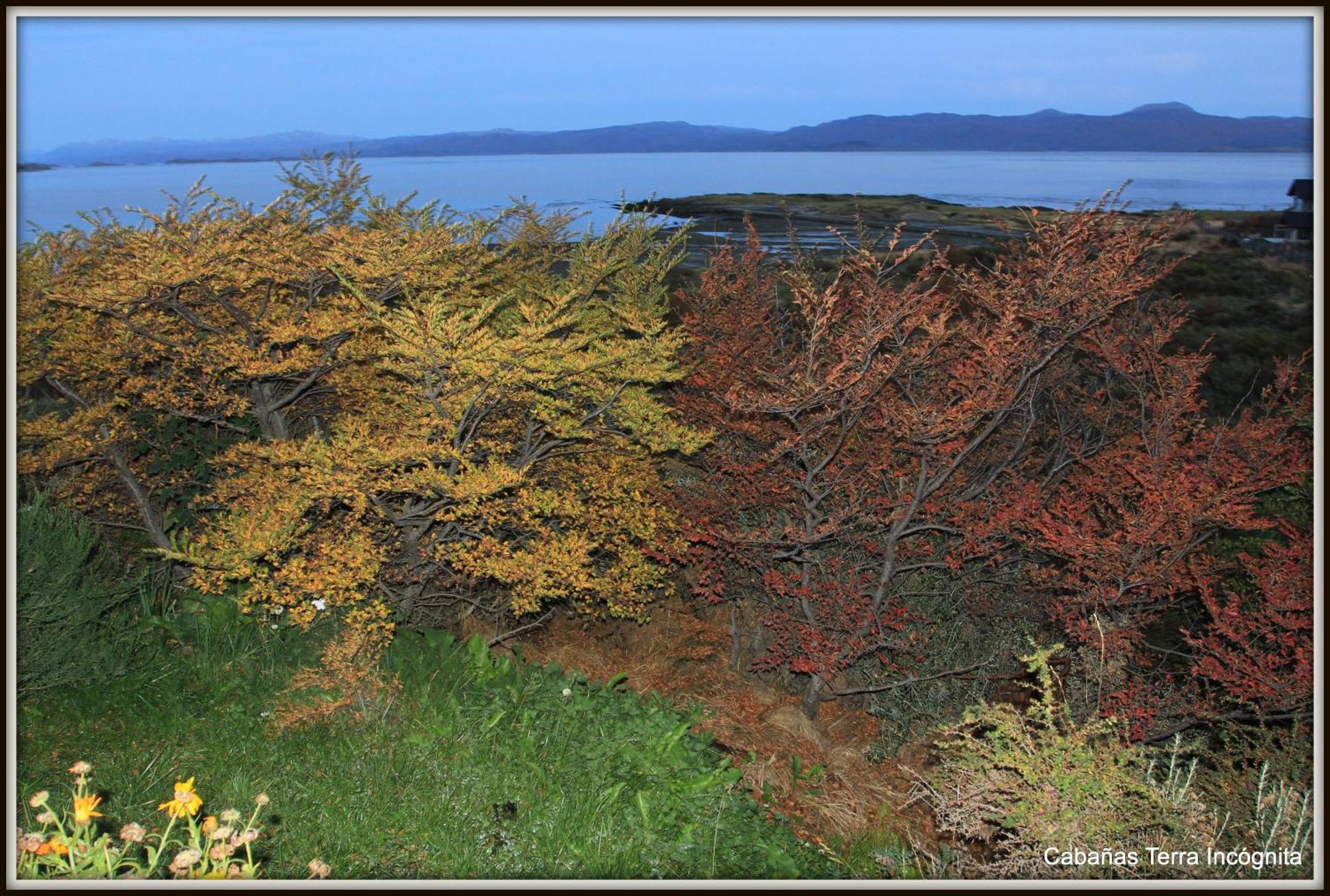 Terra Incognita Villa Ushuaia Kamer foto