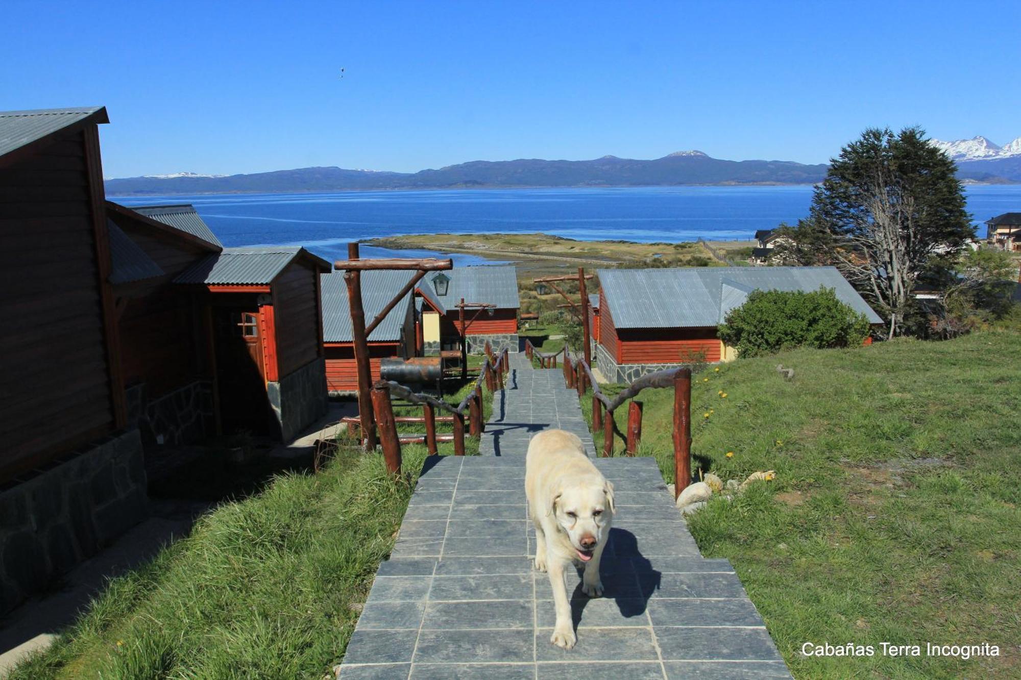Terra Incognita Villa Ushuaia Kamer foto