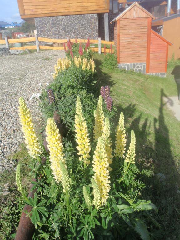 Terra Incognita Villa Ushuaia Kamer foto