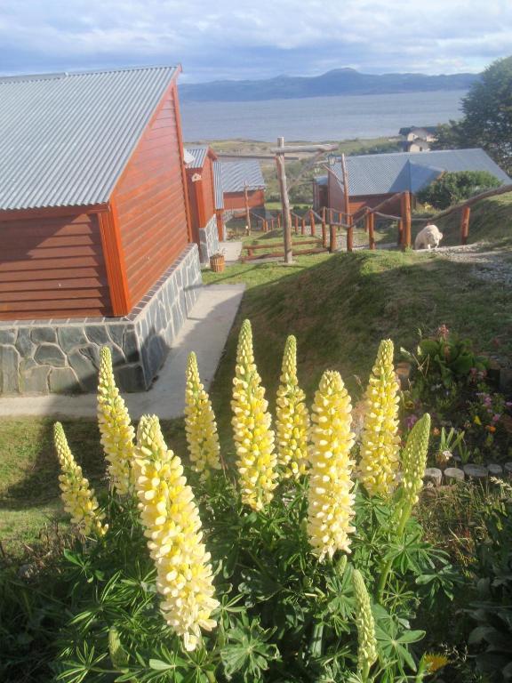 Terra Incognita Villa Ushuaia Kamer foto